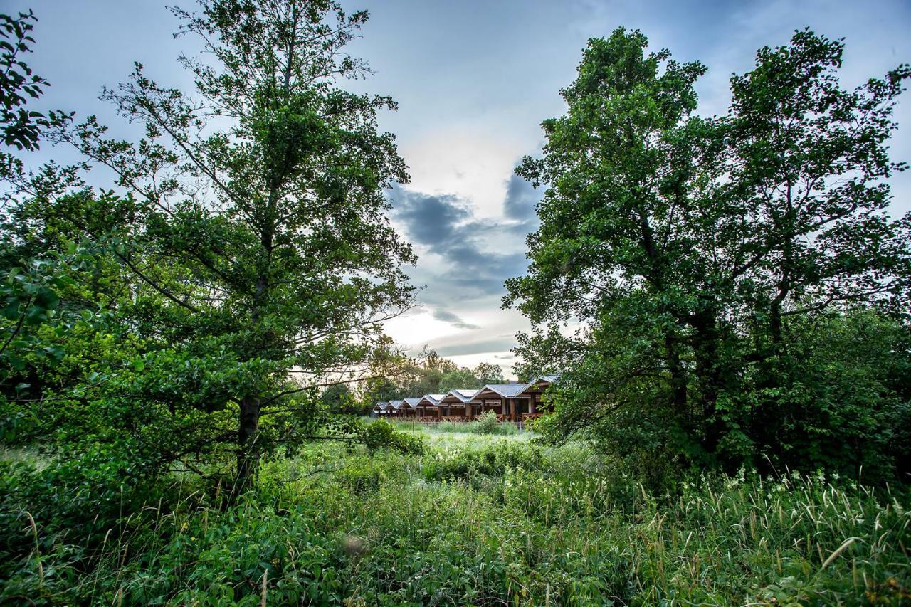 Blizej Natury Białowieża Exterior foto